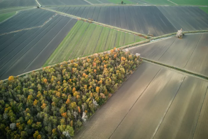 Basaglia, Gianni: Borders