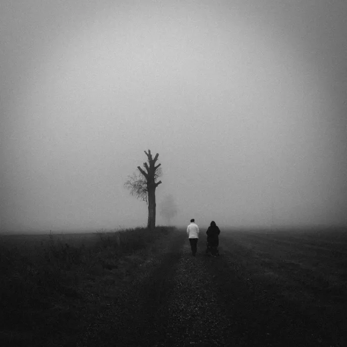 Wasinger, Renate: Together through the fog