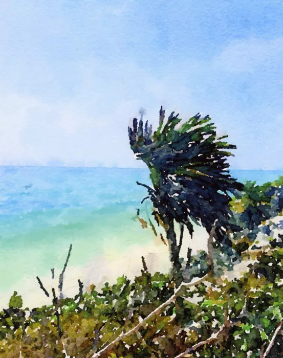 Studio, Megan Breanna: Paesaggio con palma e oceano - acquerello
