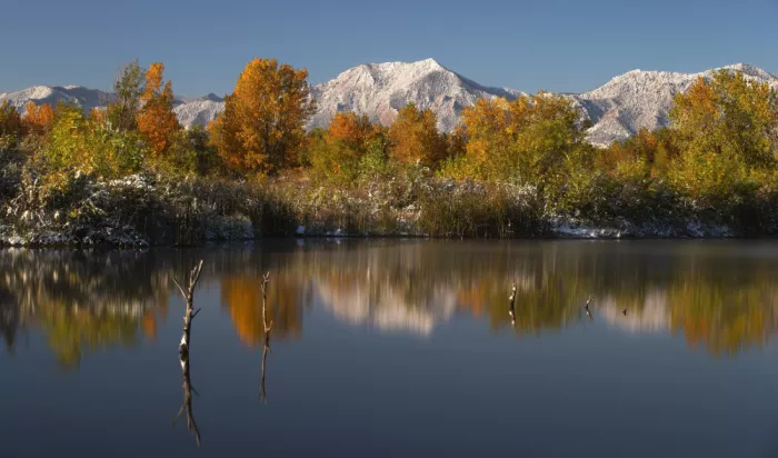 Verdon: Mirroring