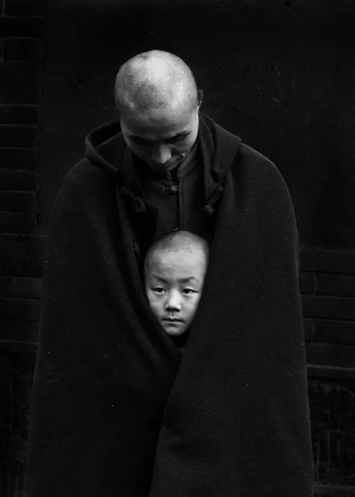 Zhang, Dennis: Master and Disciple