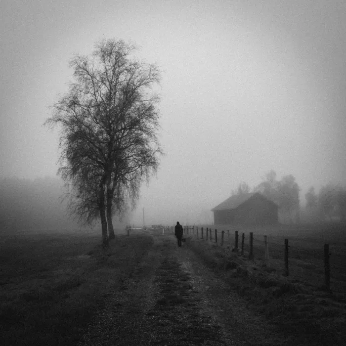Wasinger, Renate: quiet days