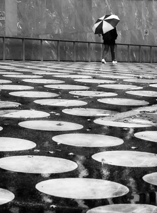 Niemiec, Anna: Roues et un parapluie