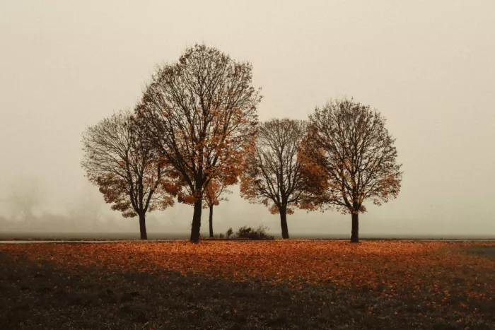 Wasinger, Renate: time to let go