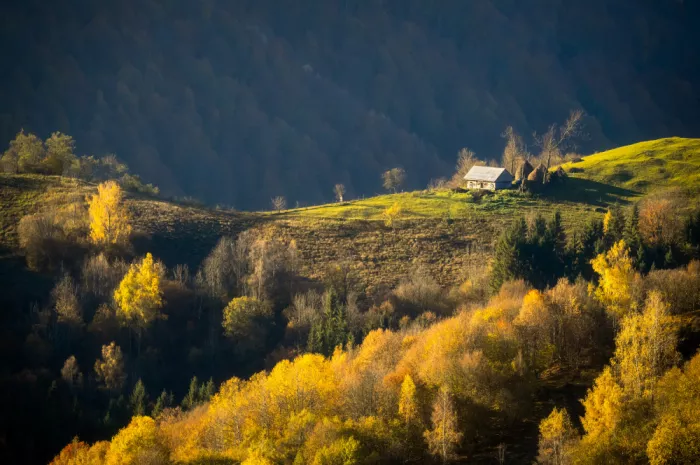 Andrica, Eduard: Rustic view