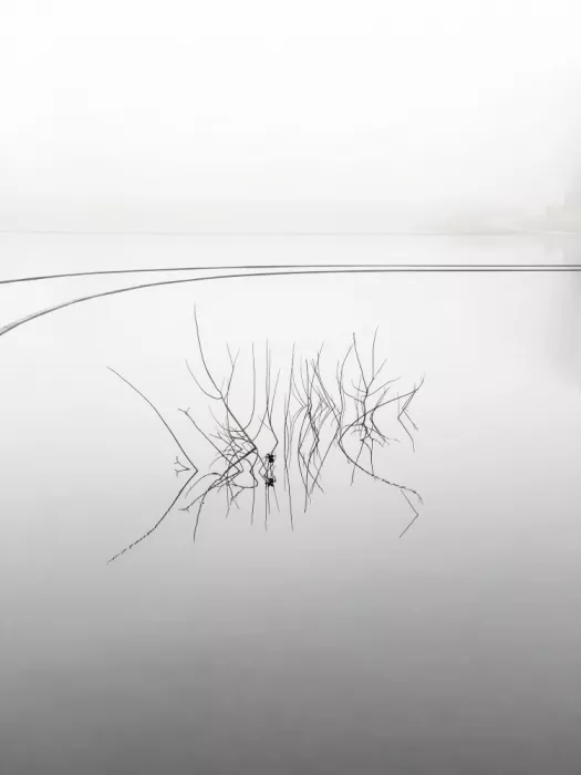 PEJ, By: Lago de lluvia 01