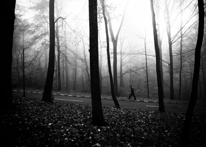 Oncete, Julien: Desolace