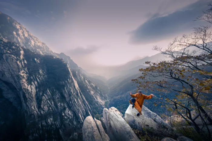 Zhang, Dennis: Echoes of Shaolin