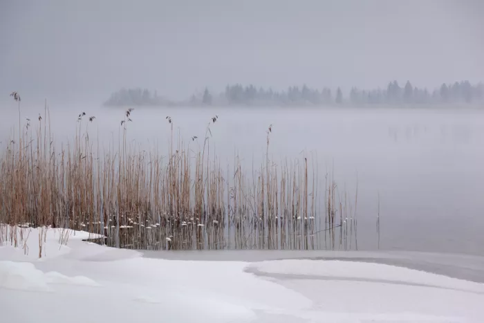 Schleicher-Schwarz, Roswitha: Inverno al lago