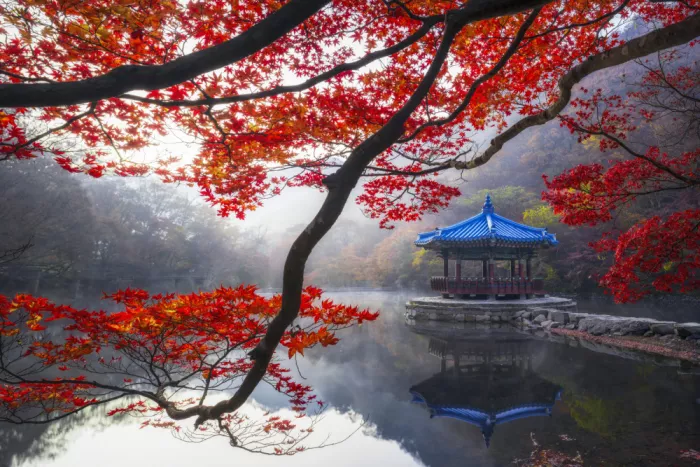 Seo, Tiger: A Lake in Autumn