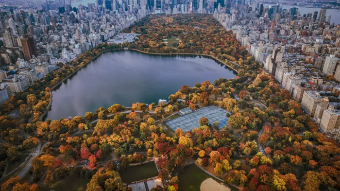 Dai, (David) Wei: Urbaner Herbst