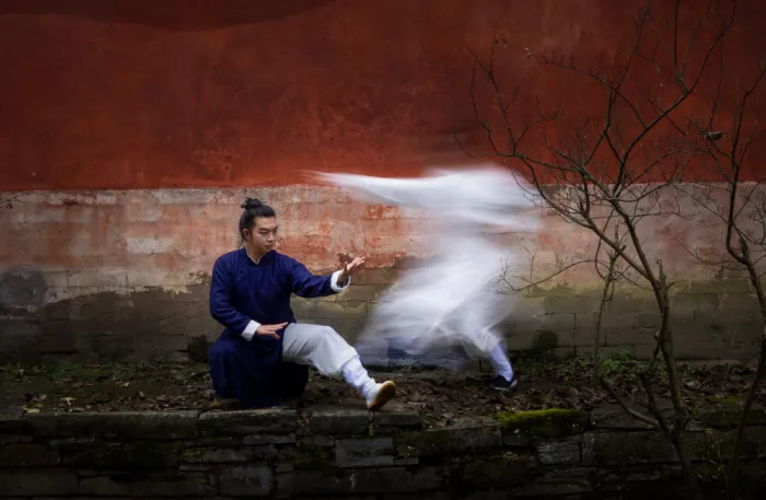 Zhang, Dennis: Where Motion Meets Silence