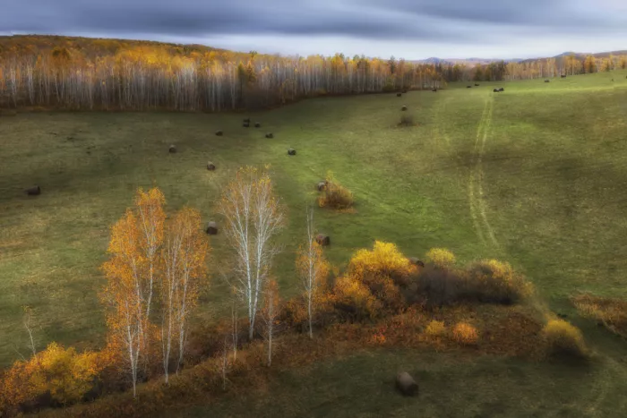 UU: Herbstfarben von Hulunbuir