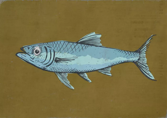 Nicholas: Pesce