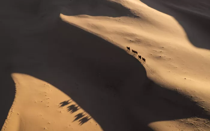 Figueras, Antoni: Ombres du Gobi