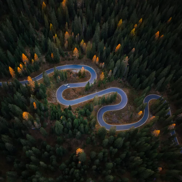 Xu, Tony: Camino de montaña sinuoso