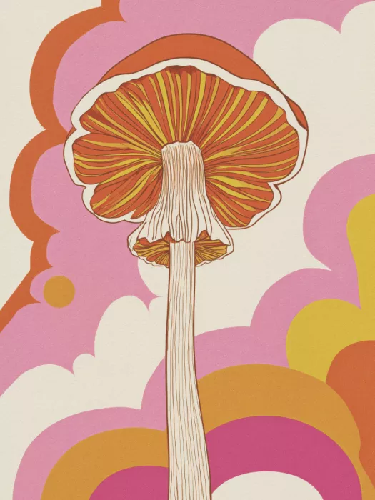 Magnusson, Andreas: Retro Pilz