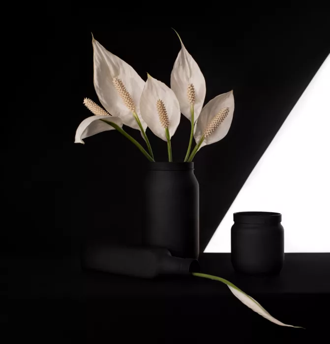 Perfoncio, Margareth: Contrast