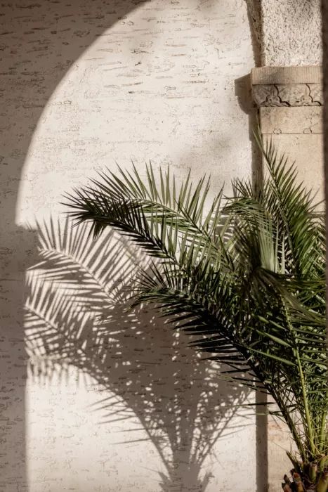 Böhmer, Mareike: Arched Light 2