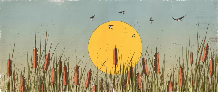 Nicholas: Panorama di paesaggio con canne