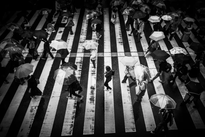 Sakamoto, Haruyo: Sám v dešti