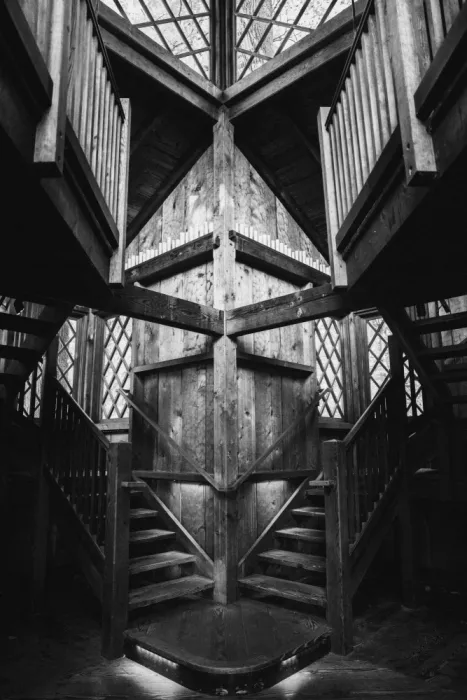 Mao, Yu: Geometry Inside the Tree House