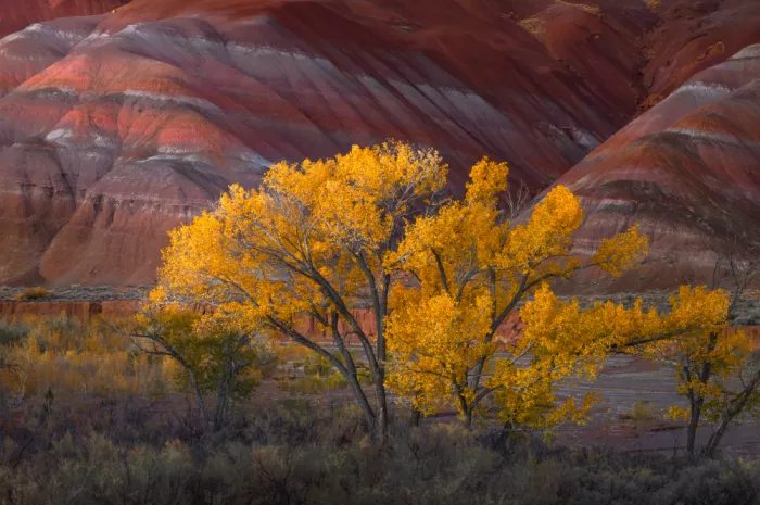 P., Ruiqing: Autumn Beneath the Painted Hills