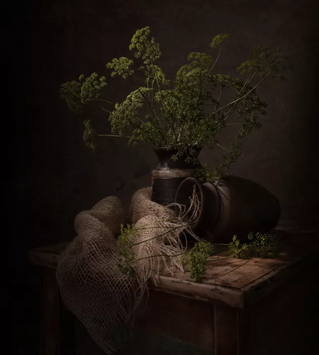 Perfoncio, Margareth: Parsley flower
