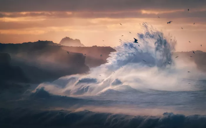 Chen, Nichole: Rise of the Sea