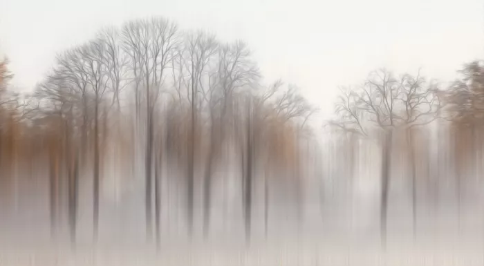 Lee, van Hilda: Sans titre