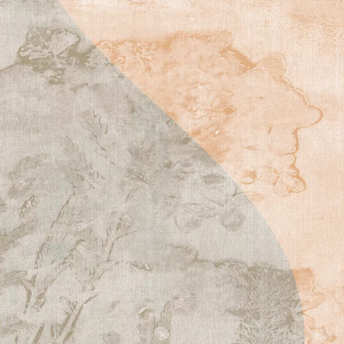 Dankers, Dina: Měkký Wabi Sabi Abstract 2 12