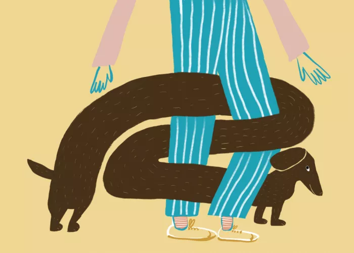 Bursic, Sharyn: Cane bassotto salsiccia
