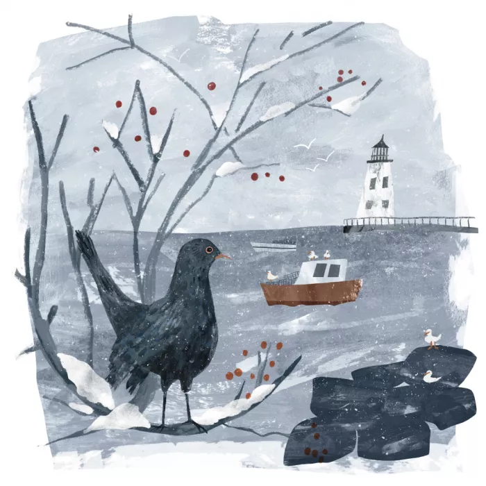 Hanley, Claire: Wintervogel am Meer, fantastische Küstenvolkskunst