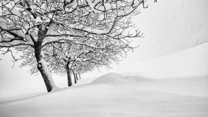 Jansen, Arne: Die stille Passage