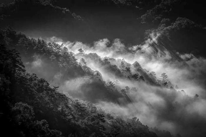 Lin, Lin: Sussurri sotto la nebbia