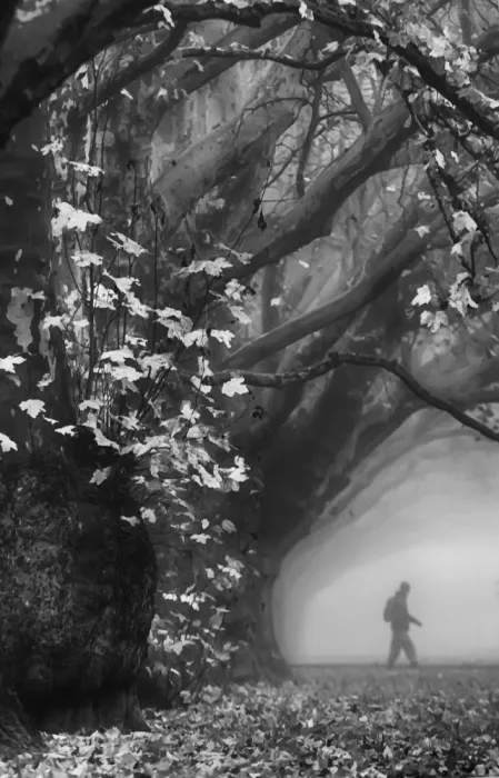 Niemiec, Anna: Inspirations automnales