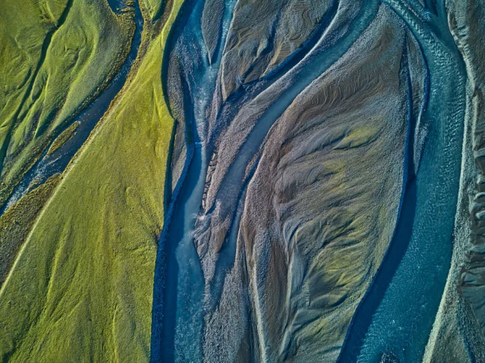 Hershkovitz, Avital: tghhnature painting