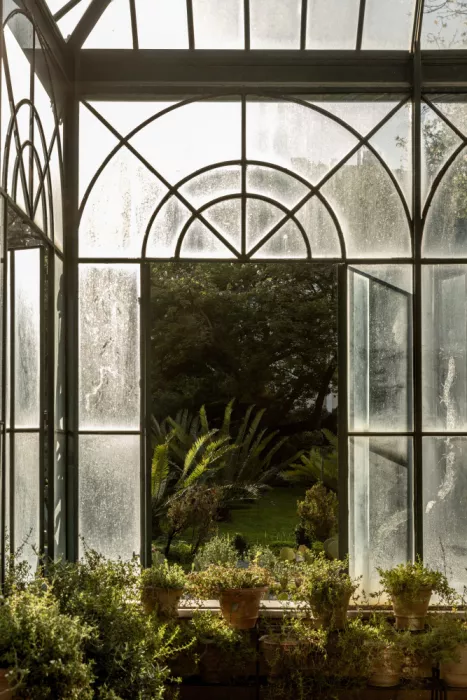 Böhmer, Mareike: Jardín botánico 2