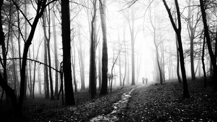 Oncete, Julien: Früher Novembermorgen