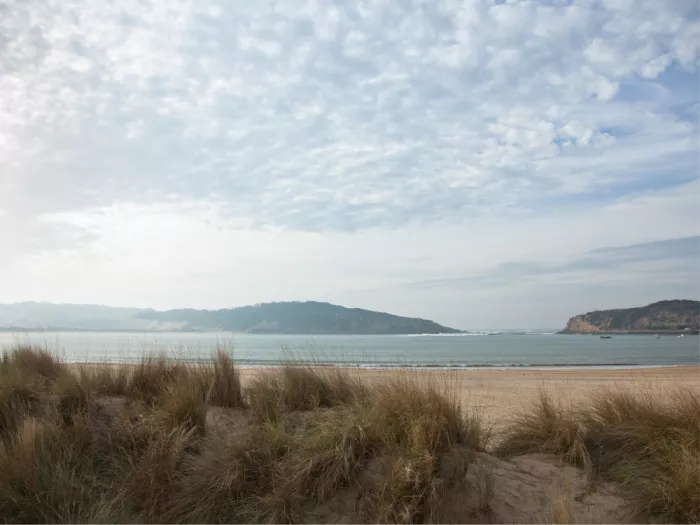jeuf, Mathieu: Playa