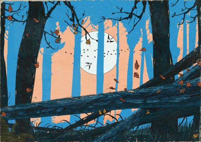 Nicholas: El bosque silencioso iluminado por la luna