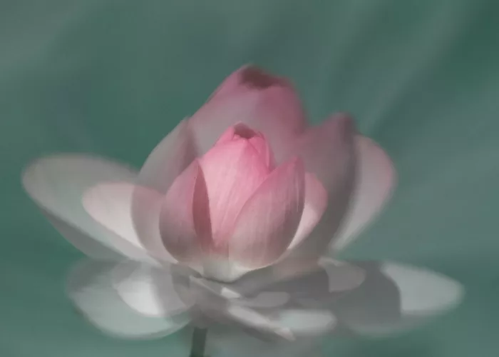Mao, Yu: Sumer Dream