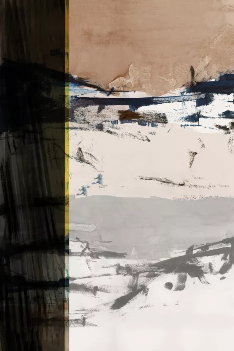 cartissi: Horizont-Studie