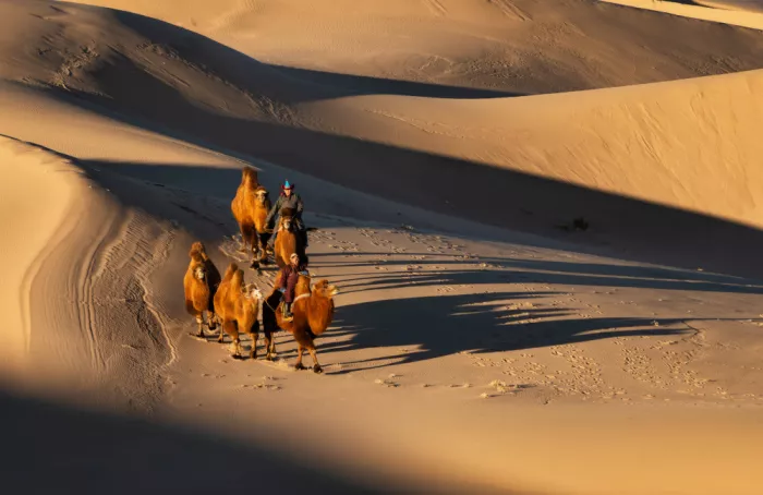Figueras, Antoni: Schatten über der Gobi