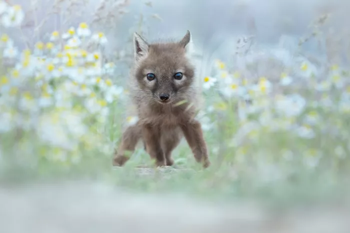 Rudchenko, Olga: Hello, world!