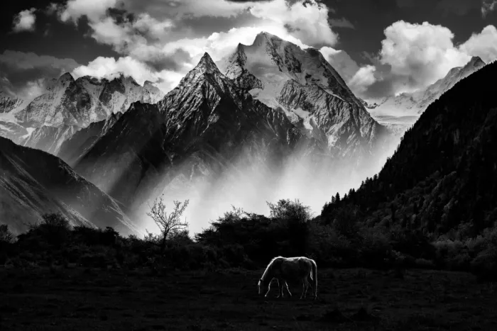 天馬, Feng Chao: A Dream of Mountains
