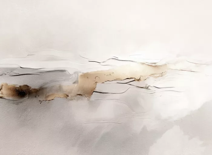 Alma: Cloud Dancer I