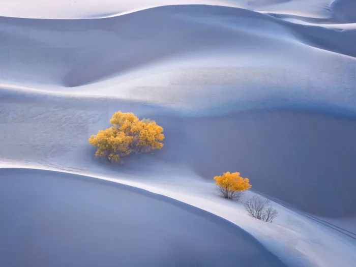 Zhang, Dennis: Whispers of Autumn