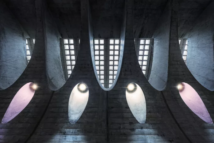 fotomarion: light in the dark
