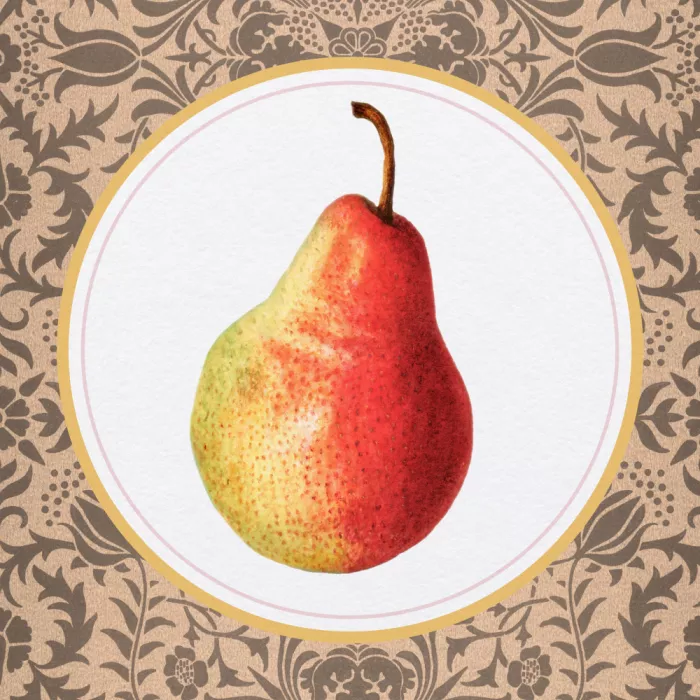 Violets, Wild: Once Upon A Pear